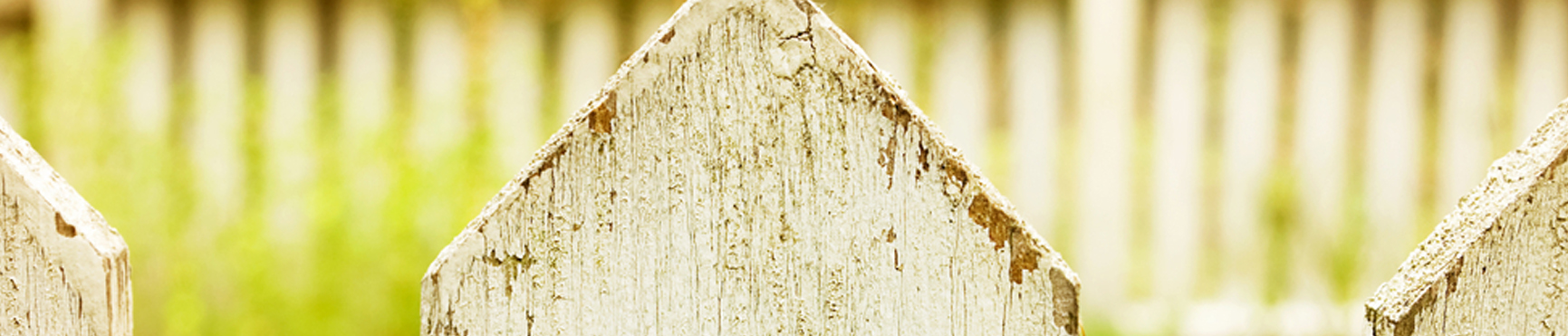 banner_lanco_Dic_05
