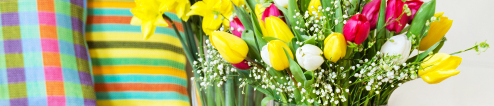 banner_lanco_FEBRERO_1.4